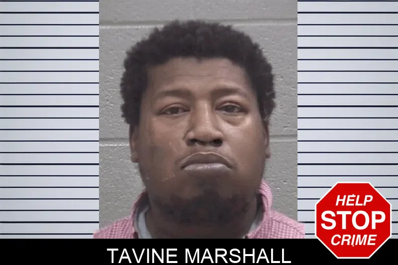 Tavine Marshall Mugshots