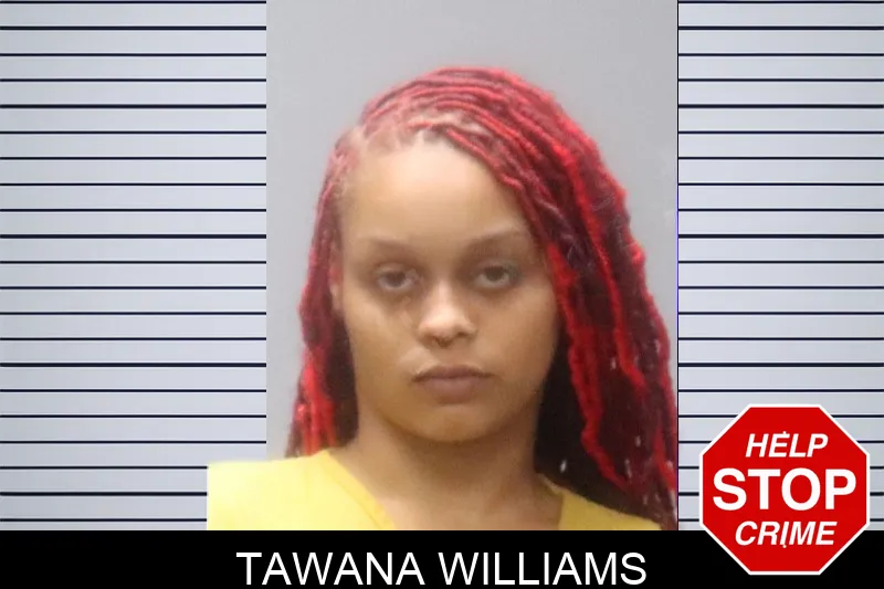 Tawana Williams Mugshots