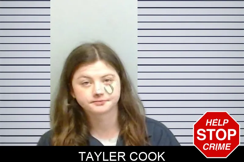 Tayler Cook mugshot – Fulton County , Georgia Tayler Cook mugshot