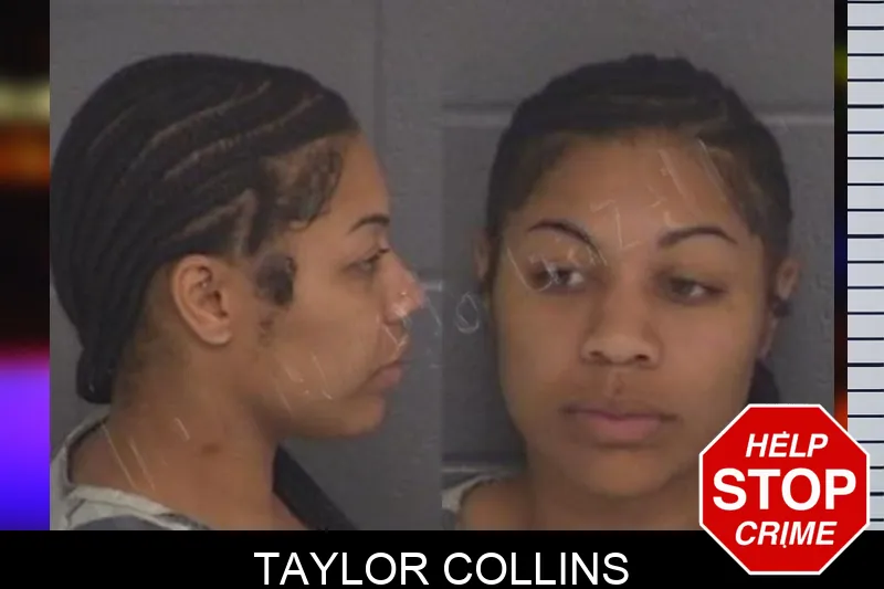 Taylor Collins Mugshots