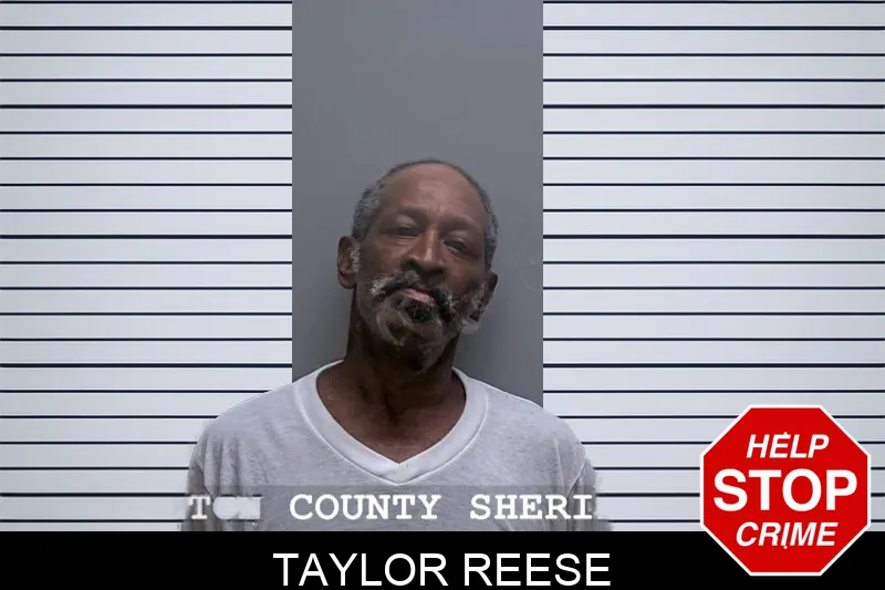 Taylor Reese Mugshots