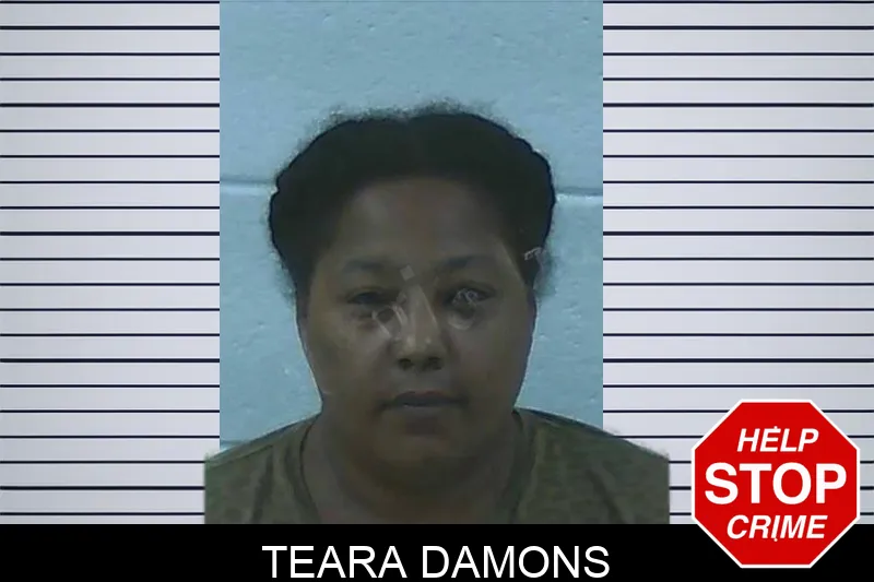 Teara Damons Mugshots