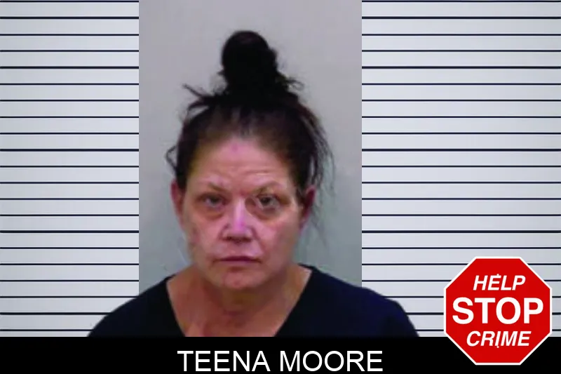 Teena Moore mugshot – Bartow County , Georgia Teena Moore mugshot