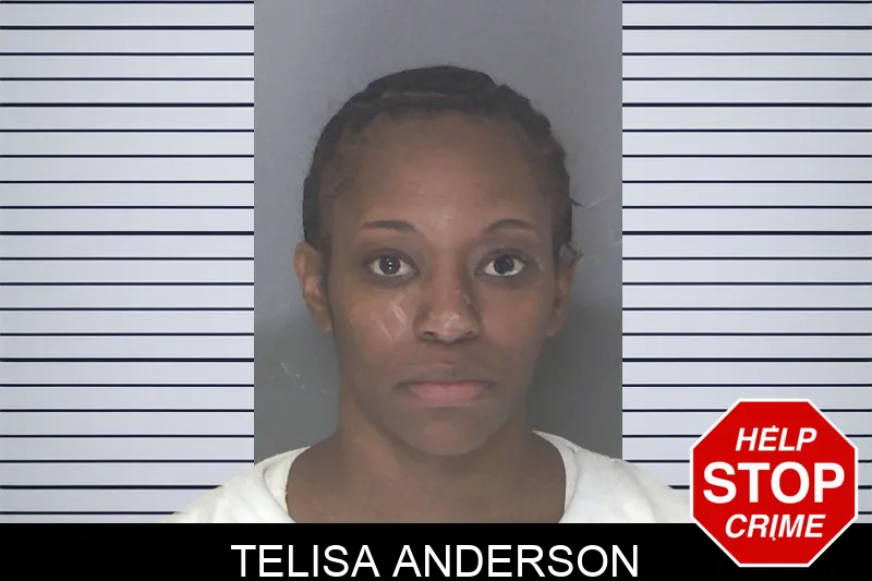 Telisa Anderson Mugshots