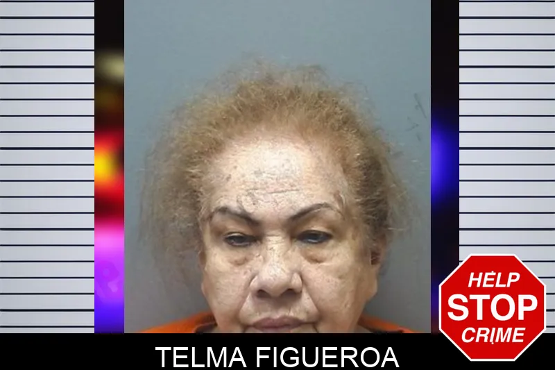 Telma Figueroa mugshot