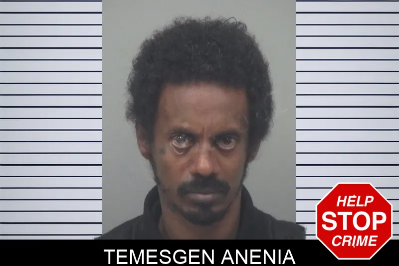 Temesgen Anenia Mugshots