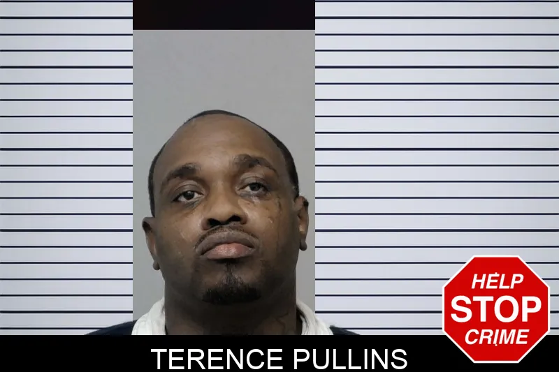 Terence Pullins Mugshots