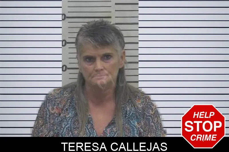 Teresa Callejas Mugshots