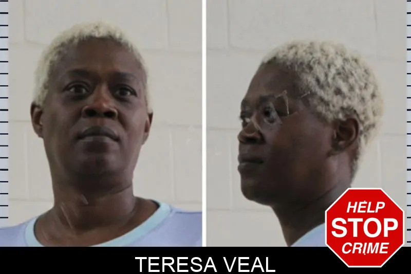 Teresa Veal Mugshots