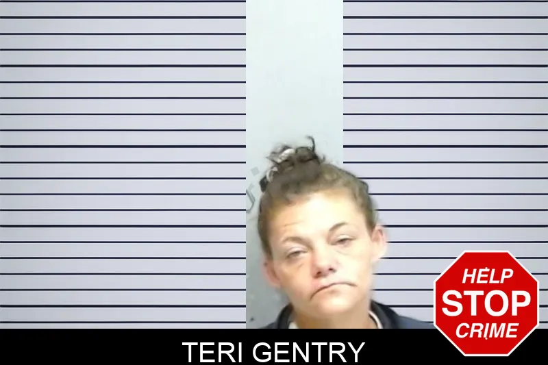 Teri Gentry mugshot – Fulton County , Georgia Teri Gentry mugshot
