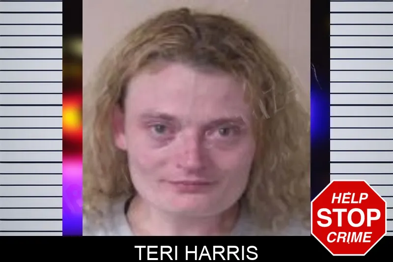 Teri Harris Mugshots