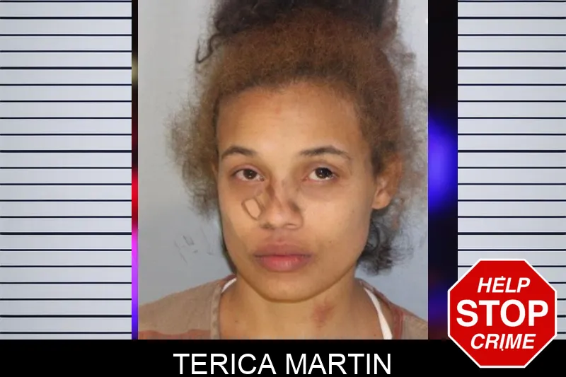 Terica Martin Mugshots