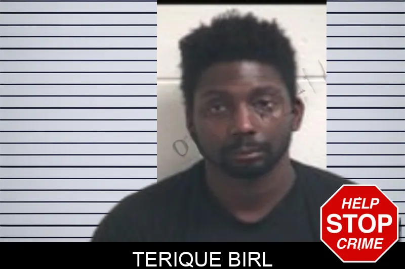 Terique Birl mugshot – Henry County , Georgia Terique Birl mugshot
