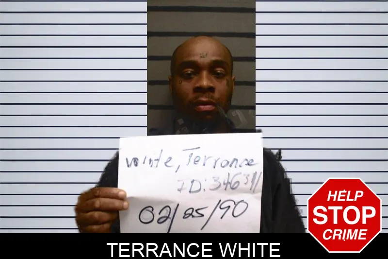 Terrance White Mugshots