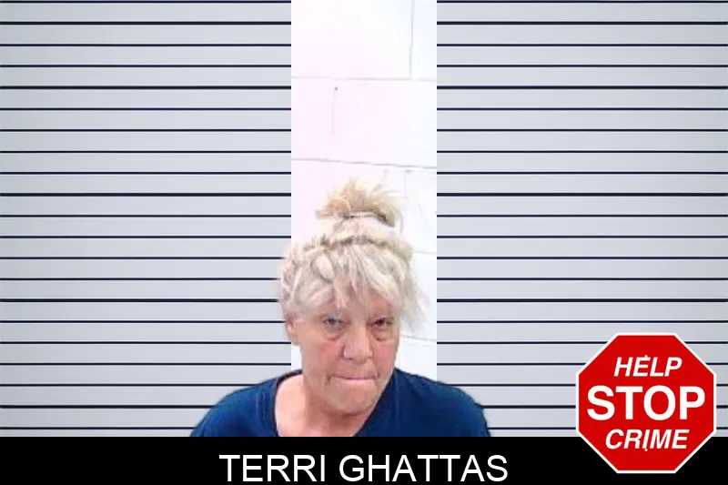 Terri Ghattas mugshot