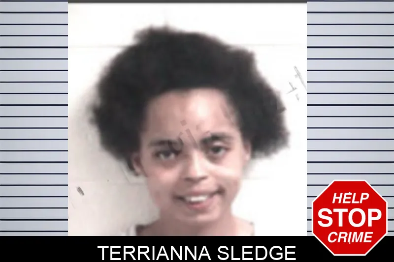 Terrianna Sledge Mugshots