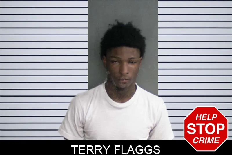 Terry Flaggs Mugshots