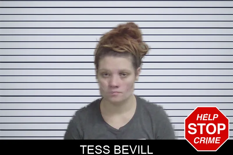 Tess Bevill Mugshots