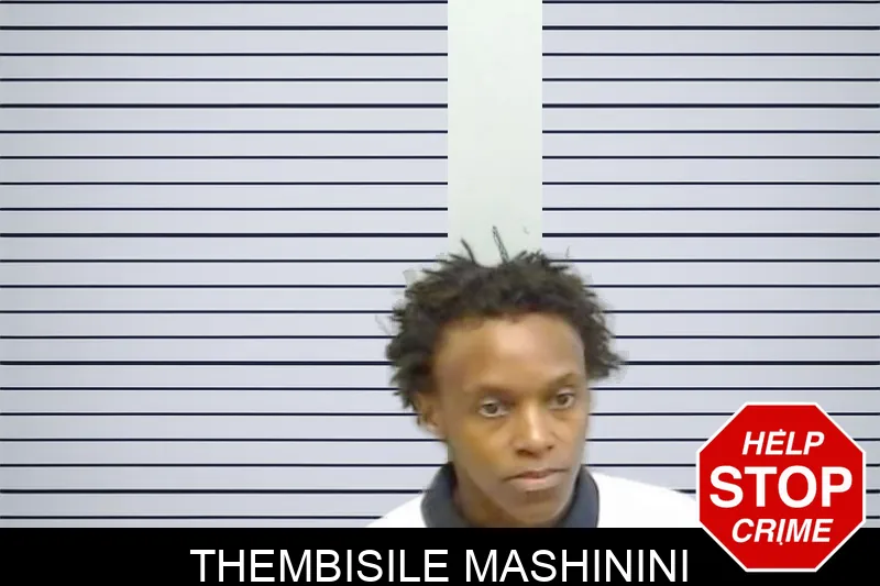 Thembisile Mashinini mugshot