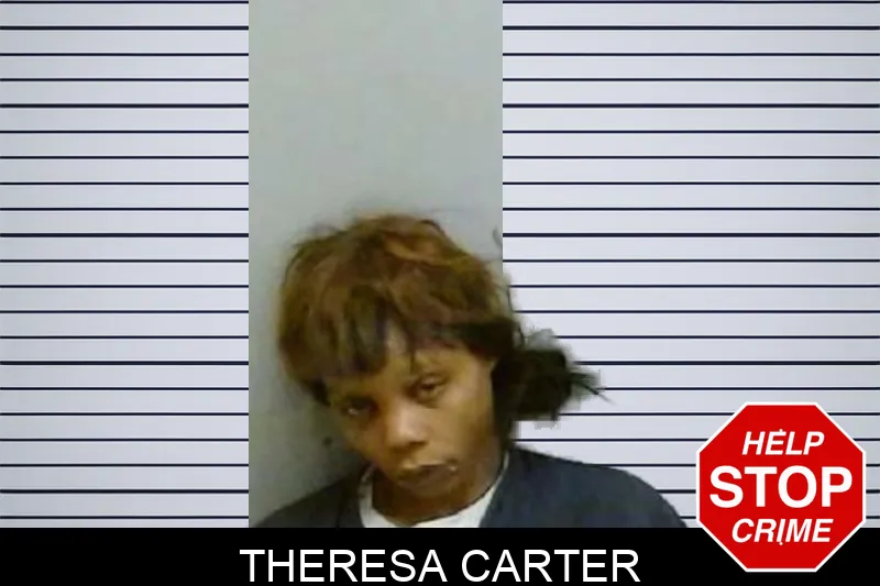 Theresa Carter Mugshots