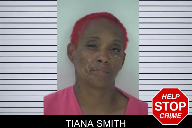 Tiana Smith mugshot – Fayette County , Georgia Tiana Smith