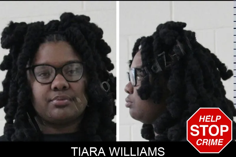 Tiara Williams Mugshots