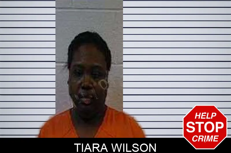 Tiara Wilson Mugshots