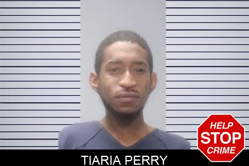 Tiaria Perry mugshot