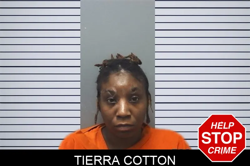 Tierra Cotton Mugshots