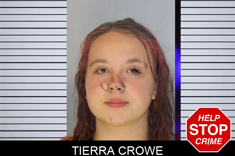 Tierra Crowe mugshot – Hall County , Georgia Tierra Crowe mugshot