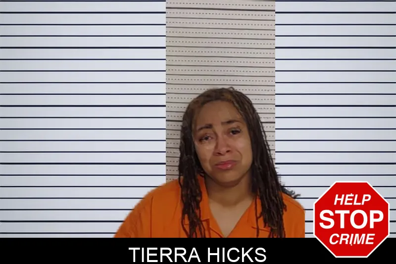 Tierra Hicks Mugshots