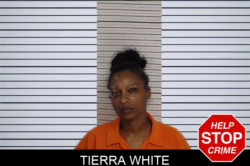 Tierra White Mugshots