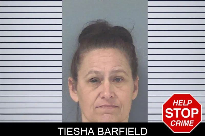 Tiesha Barfield mugshot – Douglas County , Georgia Tiesha Barfield mugshot