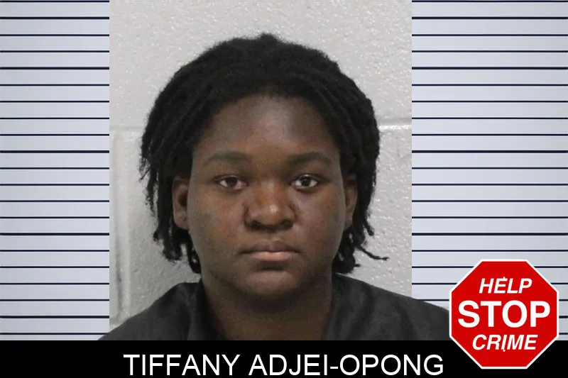 Tiffany Adjei-Opong mugshot – Carroll County , Georgia Tiffany Adjei-Opong mugshot