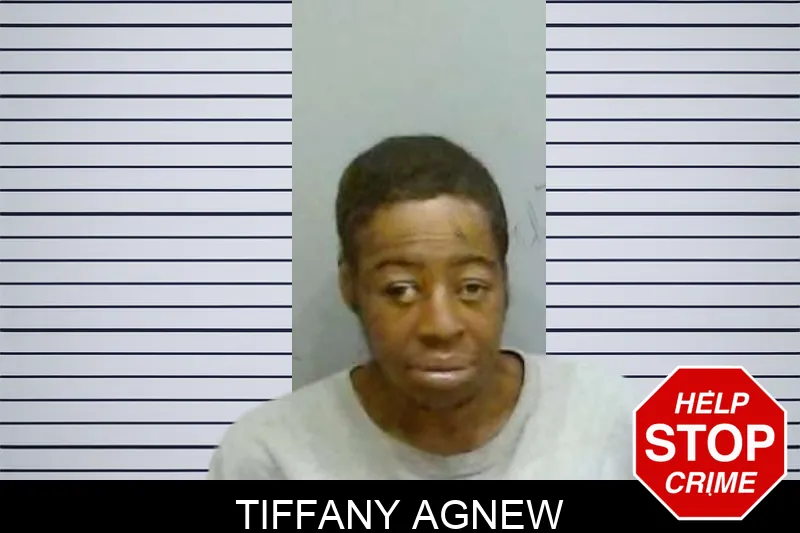 Tiffany Agnew mugshot