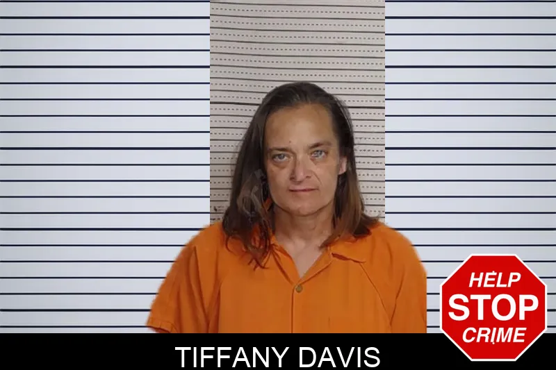 Tiffany Davis Mugshots