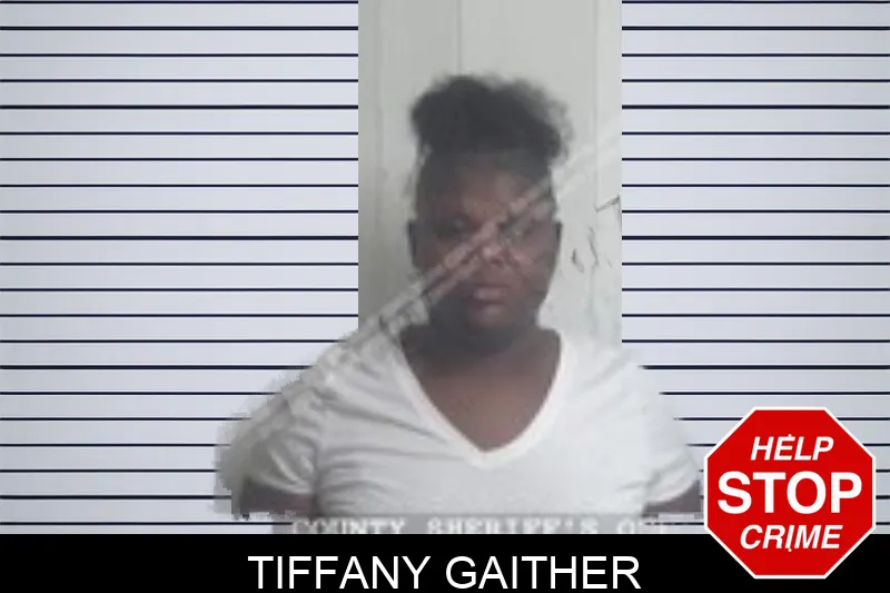 Tiffany Gaither Mugshots