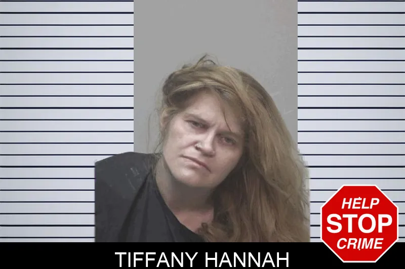 Tiffany Hannah mugshot