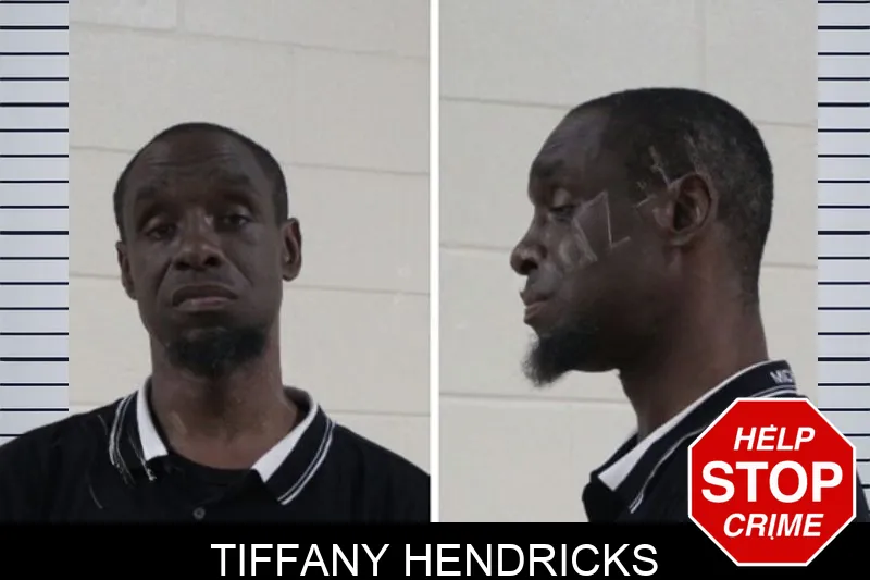Tiffany Hendricks mugshot