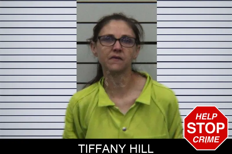 Tiffany Hill Mugshots