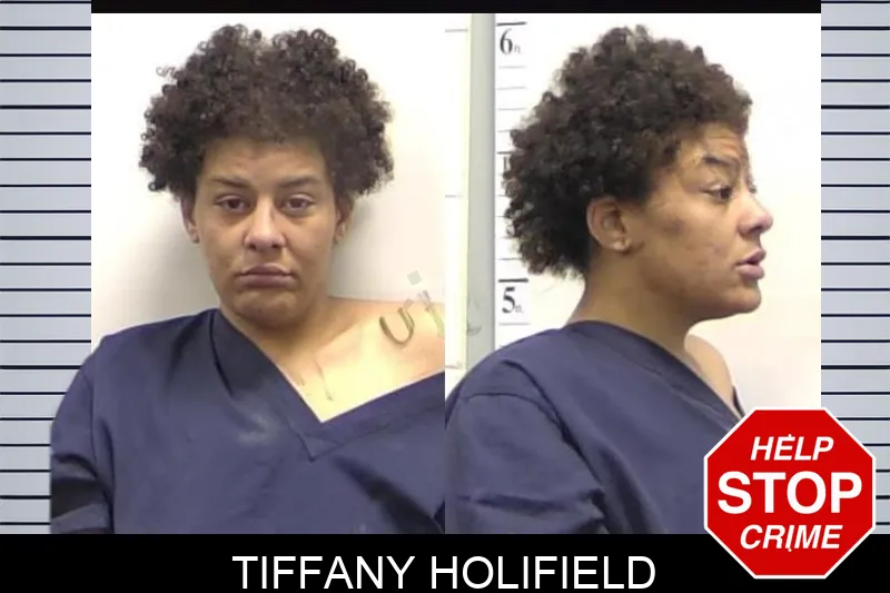 Tiffany Holifield mugshot – Clarke County , Georgia Tiffany Holifield mugshot