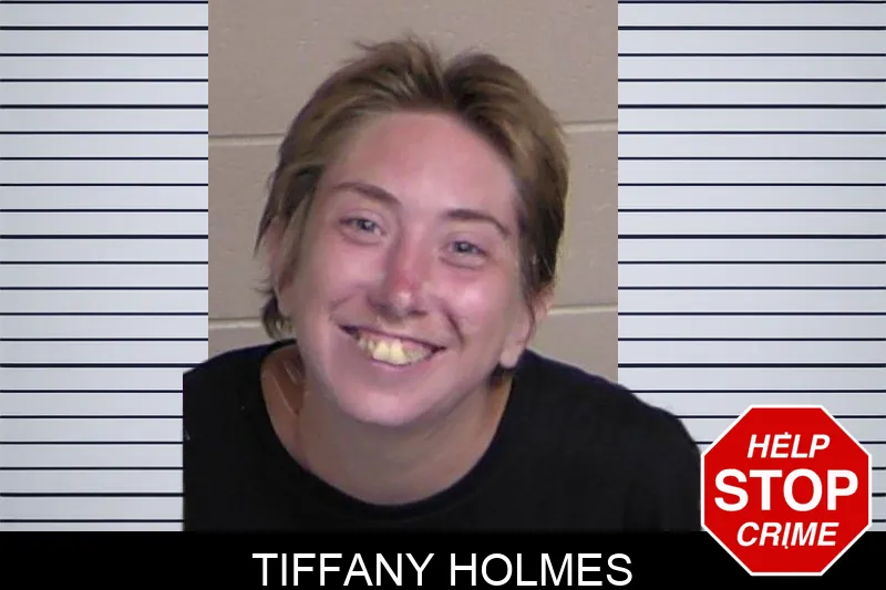 Tiffany Holmes Mugshots