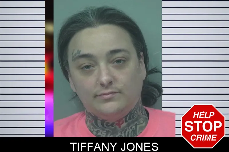 Tiffany Jones mugshot – Gwinnett County , Georgia Tiffany Jones mugshot
