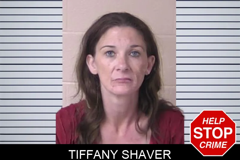 Tiffany Shaver Mugshots