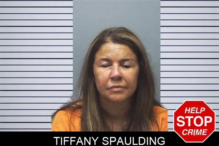 Tiffany Spaulding mugshot β Cherokee County , Georgia Tiffany Spaulding