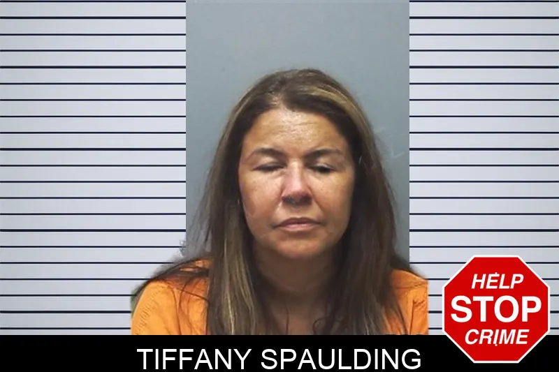 Tiffany Spaulding mugshot – Cherokee County , Georgia Tiffany Spaulding mugshot