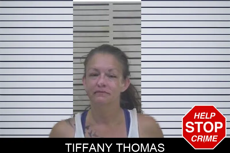 Tiffany Thomas mugshot