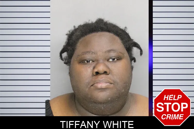 Tiffany White mugshot – Cobb County , Georgia Tiffany White mugshot