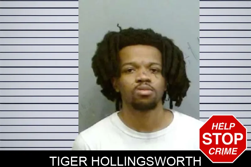 Tiger Hollingsworth mugshot