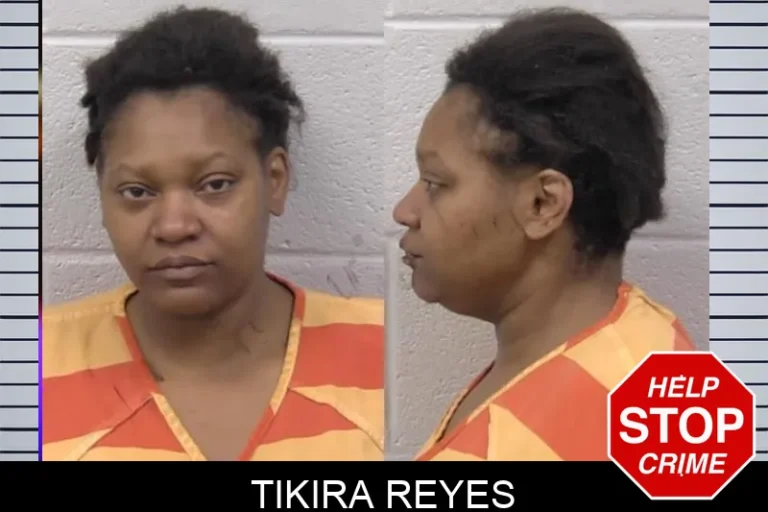 Tikira Reyes mugshot – Paulding County , Georgia Tikira Reyes